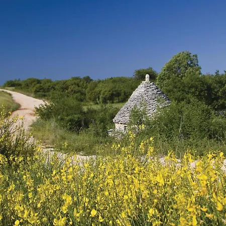 Bateli 06 Dom wakacyjny Zeliski